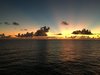 C7F87894-47CD-4275-8F23-0C1C15BA2EB7.jpeg