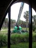 crane.jpg