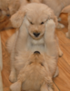 1588935170889.png