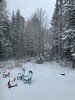 95055FD9-1AF7-493D-9B27-B53B27CCECDE.jpeg