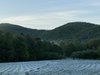 D547B4BB-05A0-48D1-A30F-BD4DE1E05369.jpeg