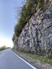 95EFBABC-D207-4106-86F7-67D116CB9687.jpeg