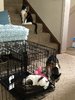 F8D5989F-EB08-4192-B3AE-BBA000BED42A.jpeg