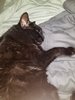20200710_152047.jpg