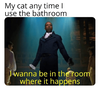 person-my-cat-any-time-use-bathroom-wanna-be-room-where-happens.png
