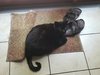 20200805_160741.jpg