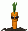 cool_carrot_md_clr.gif