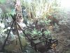 20020909-004.jpg