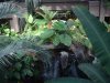 dscf0173.jpg
