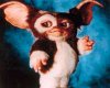 gremlins-photo-gremlins-6200139.jpg