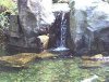 untitled4.jpg