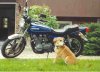 kz650.jpg