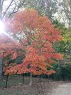 20201018_145546.jpg