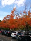 20201018_143157.jpg
