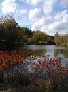 20201018_145316.jpg