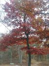 20201024_145910.jpg