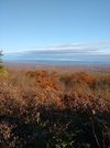 20201024_155032.jpg