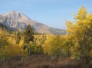 20201003_084225.jpg