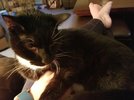 20201025_164542.jpg