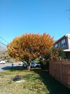 20201108_131305.jpg