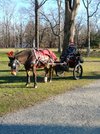 20201206_141708.jpg