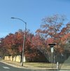B4318F12-8FC3-4F4F-A9EA-063EEB881AD3.jpeg