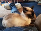 20201220_140945.jpg