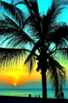 1608631328204.png