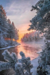 1610394072323.png