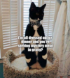 1615026081995.png