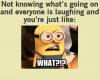 minions-funny-pictures.jpeg