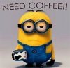 coffee minion.jpg