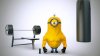 bodybuilder-minion-funny-hd-wallpaper-1920x1080-7946.jpeg