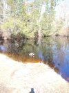 20210403_153549_HDR.jpg