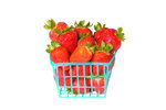 strawberry basket.jpeg