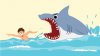 shark-attack-01082013_fe.jpg