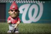 WerthGnome.jpg