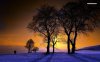 fantastic-winter-sunrise-6869-1280x800.jpeg