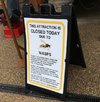 closed wasps.jpg