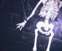 Skeleton.png