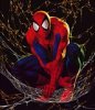 spidey net.jpg