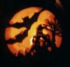 pumpkin_bats.jpg