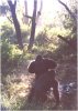 dakgorillas.jpg