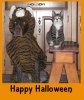 happy%20halloween.jpg