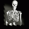 graphic1.gif