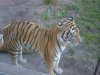 dsc00270.jpg