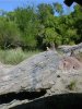 dsc00275.jpg