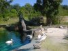 dsc00282.jpg