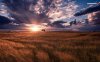 amazing-sunset-on-the-field-6905-1280x800.jpeg