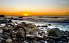 old-abandoned-wheels-on-the-shore-6622-1280x800.jpeg